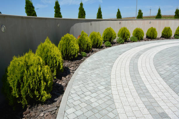 Best Driveway Paver Repair  in Manchester, KY